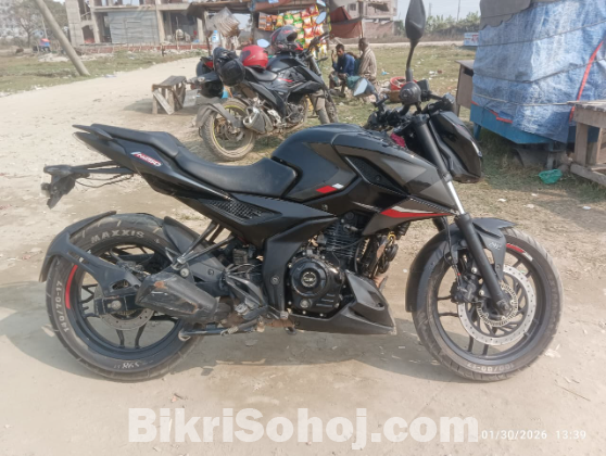 Palsur N250 black 2023